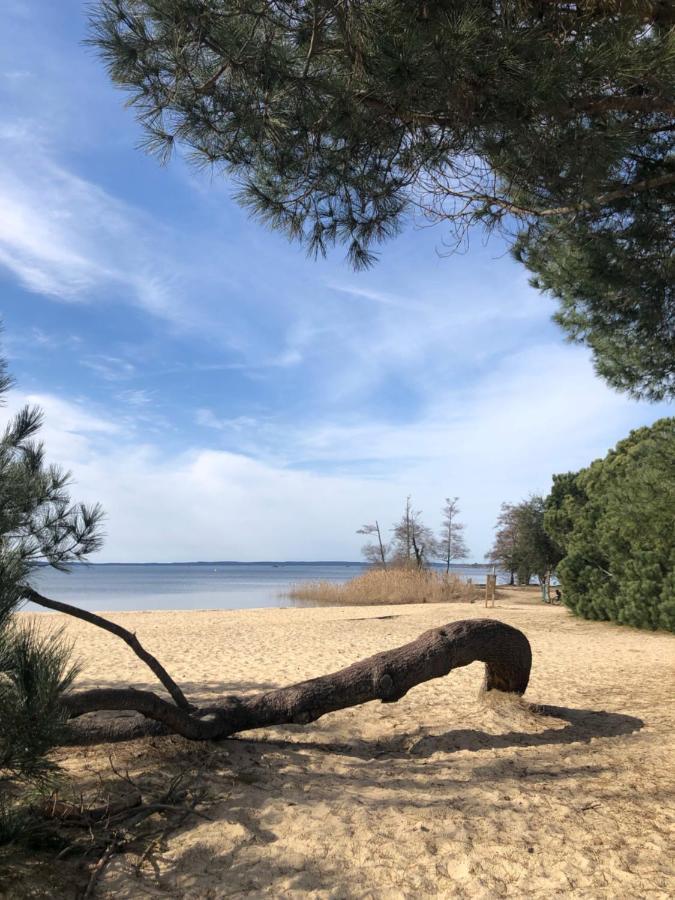 Gite Au Coeur Des Landes Lue المظهر الخارجي الصورة